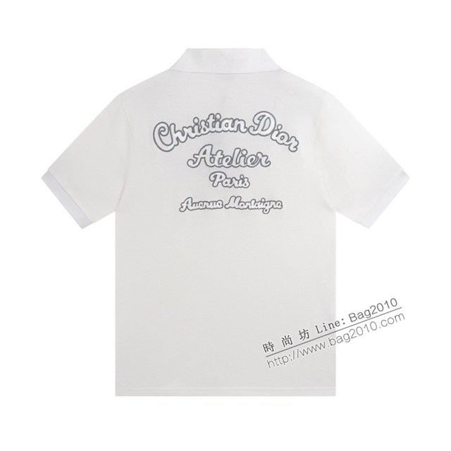 Dior專櫃迪奧2023SS新款刺繡Polo短袖T恤 男女同款 tzy2789